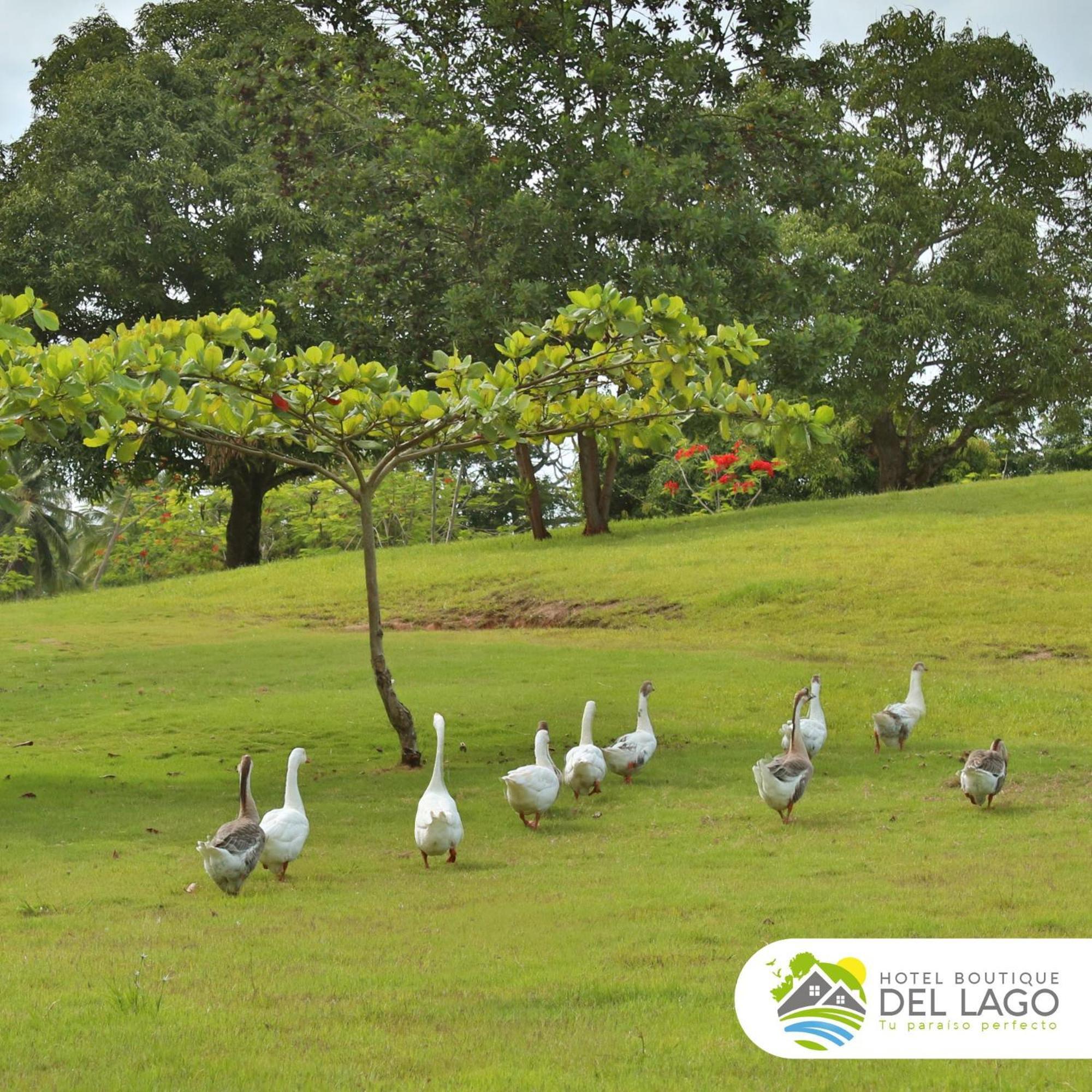 Hotel Boutique Del Lago Nagua Exterior foto